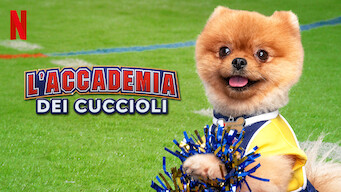 L'accademia dei cuccioli (2020)