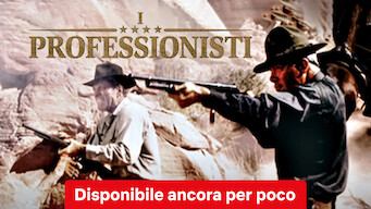 I professionisti (1966)