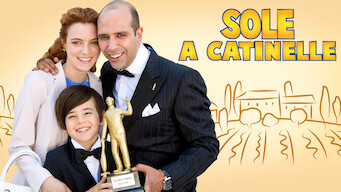 Sole a catinelle (2013)